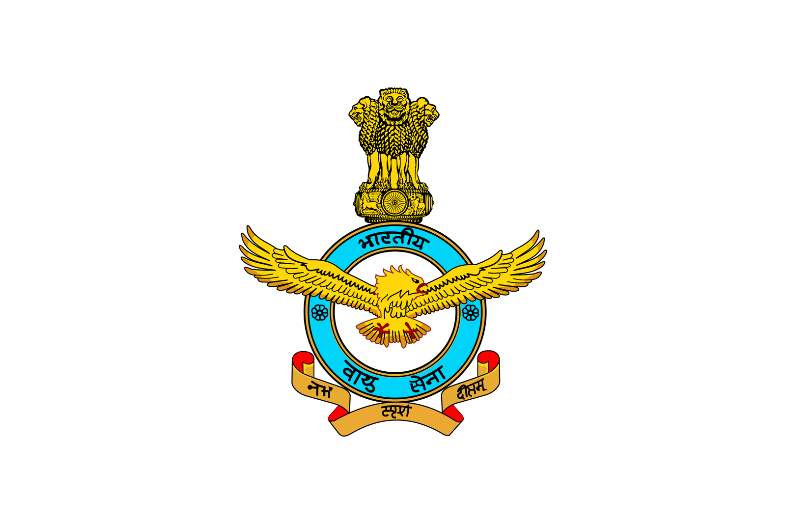 Indian Air Force logo placeholder